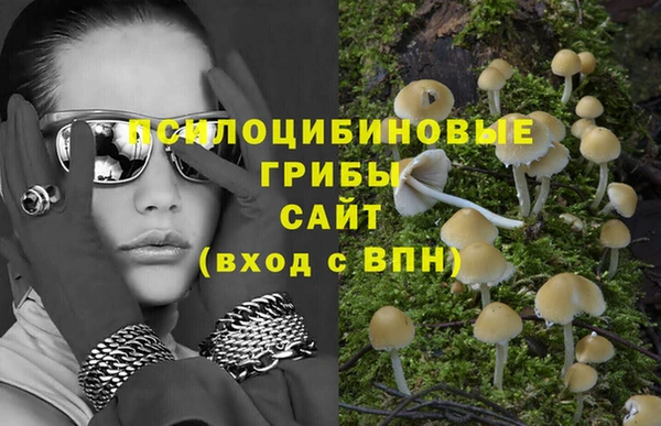 гидропоника Абаза