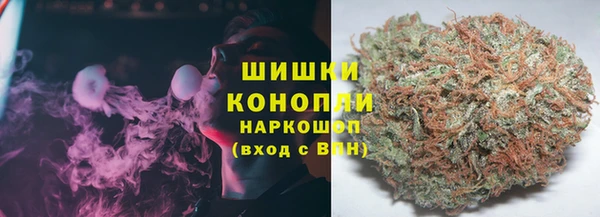 гидропоника Абаза