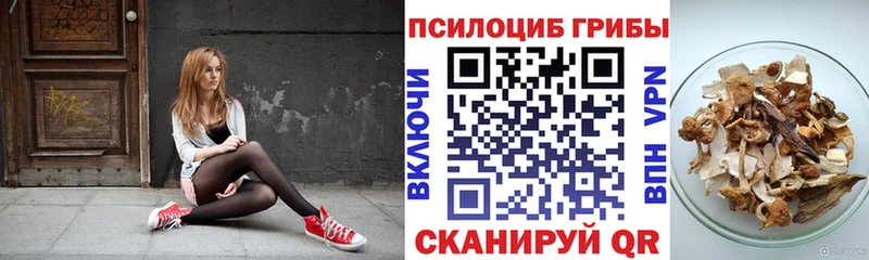 mega вход  закладки  Абакан  Псилоцибиновые грибы мицелий 
